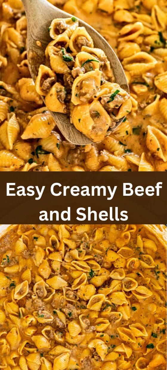 Easy Creamy Beef and Shells