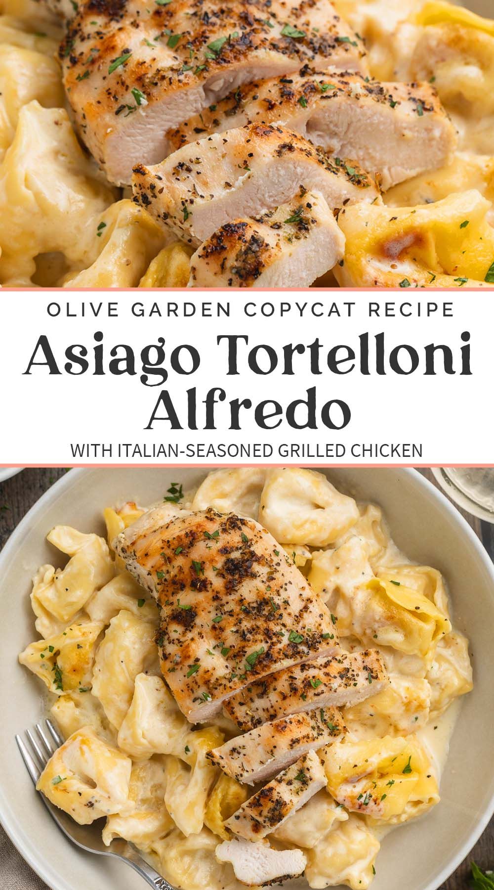Asiago Tortelloni Alfredo With Grilled Chicken