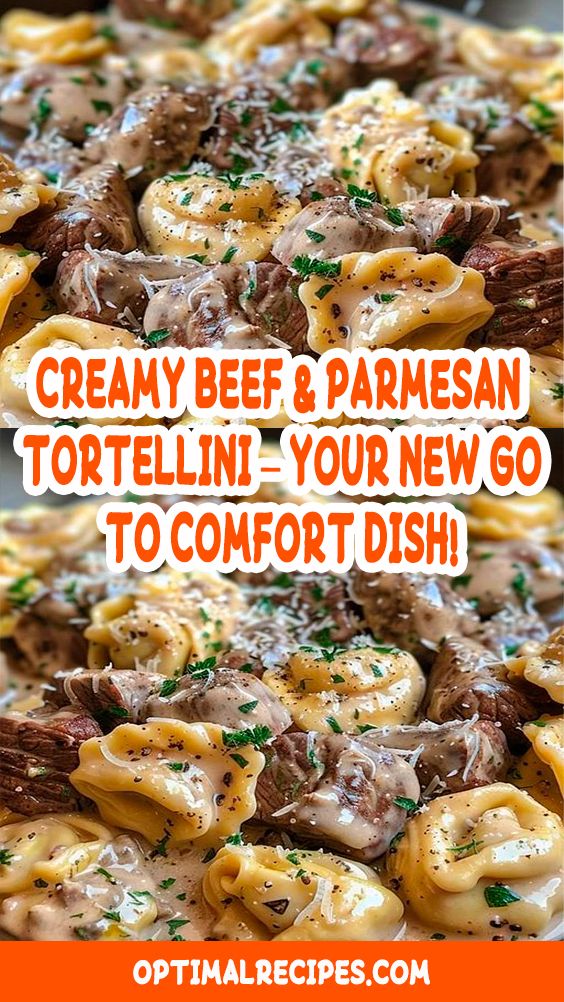 Creamy Beef & Parmesan Tortellini – Your New Go-To Comfort Dish!