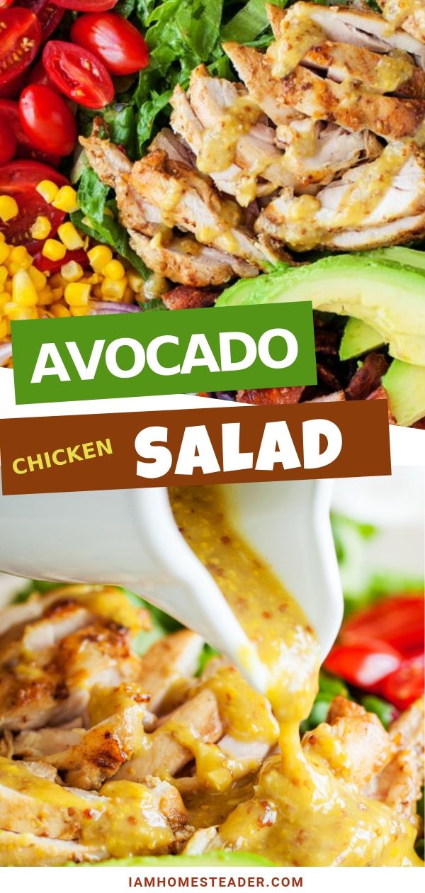 AVOCADO CHICKEN SALAD