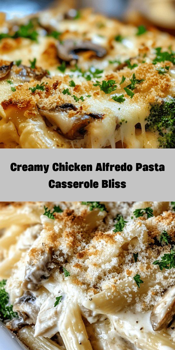 Creamy Chicken Alfredo Pasta Casserole Bliss