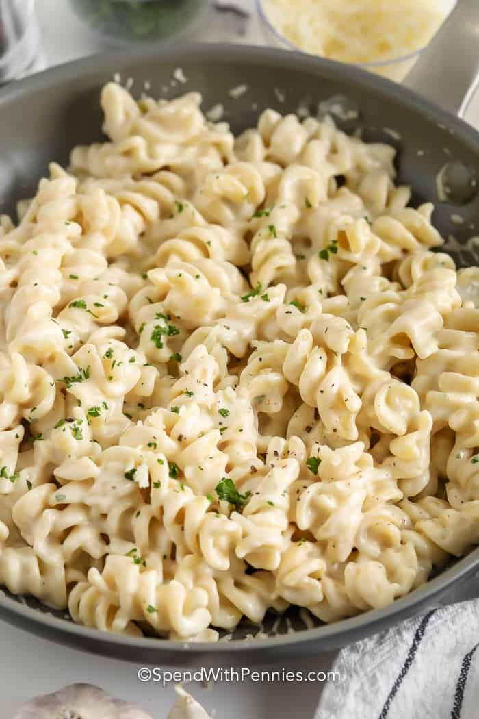 Creamy Garlic Pasta