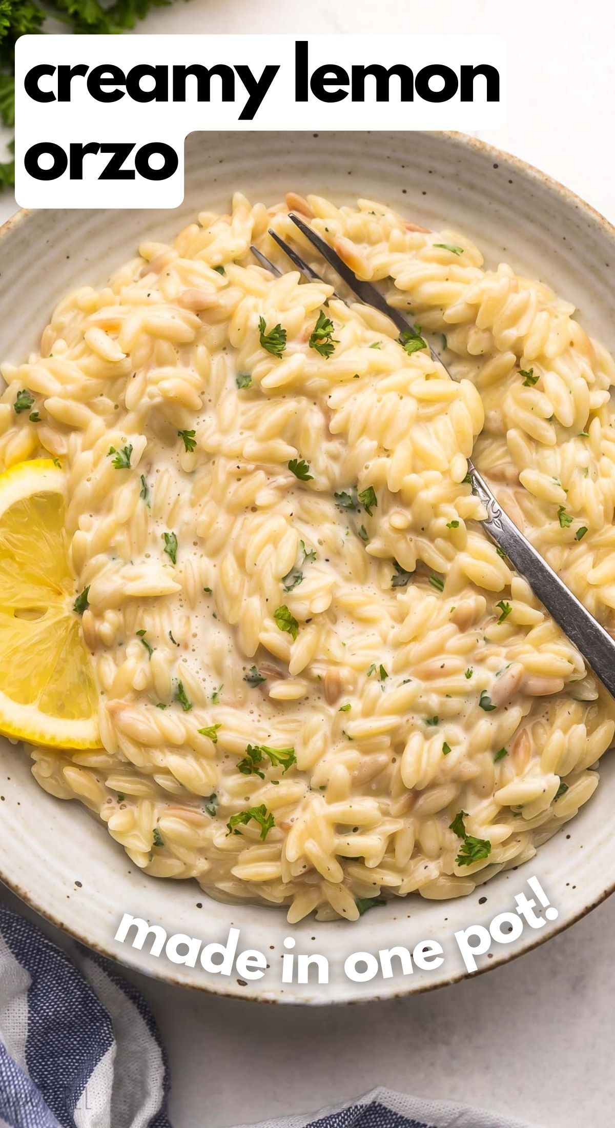 One Pot Lemon Orzo pasta - The Recipe Rebel