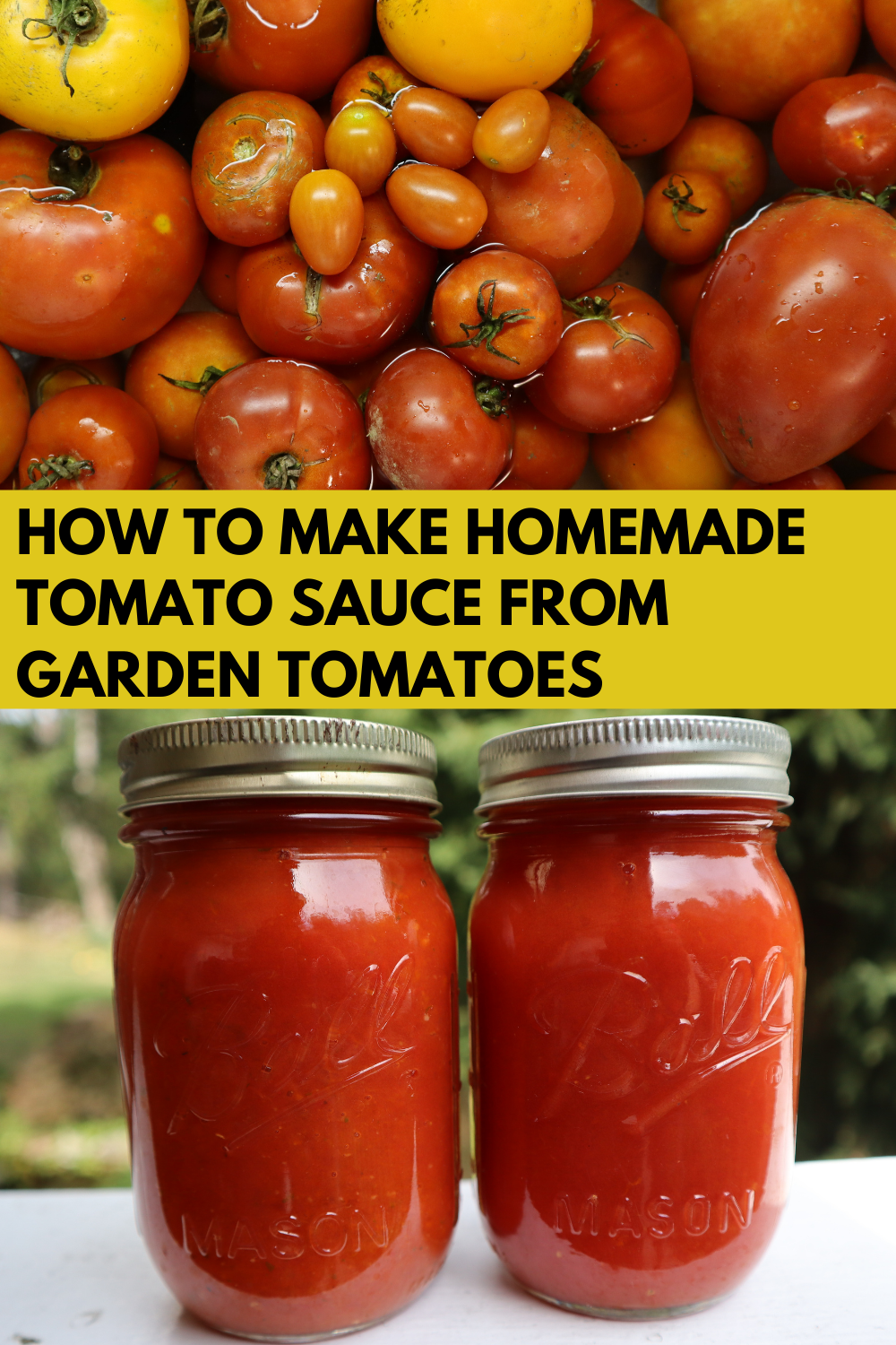 How to Make Tomato Sauce From Garden Tomatoes - the Making Life
