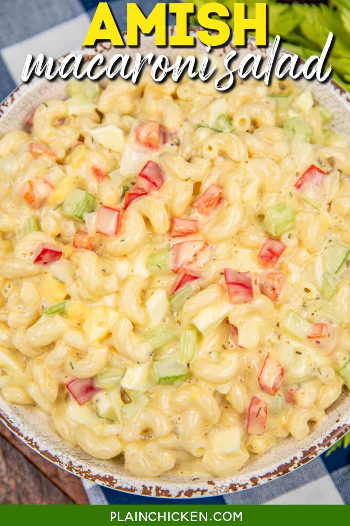 Amish Macaroni Salad - Plain Chicken