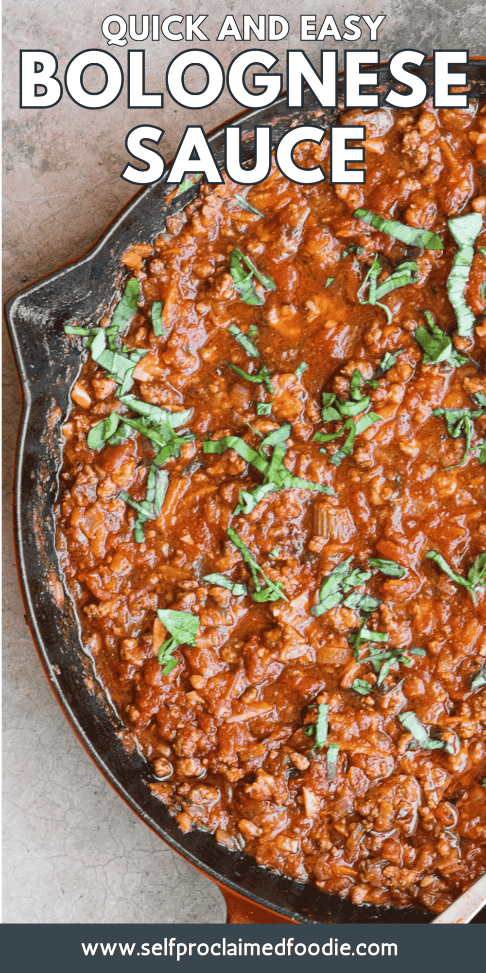 Easy Bolognese Sauce - Self Proclaimed Foodie