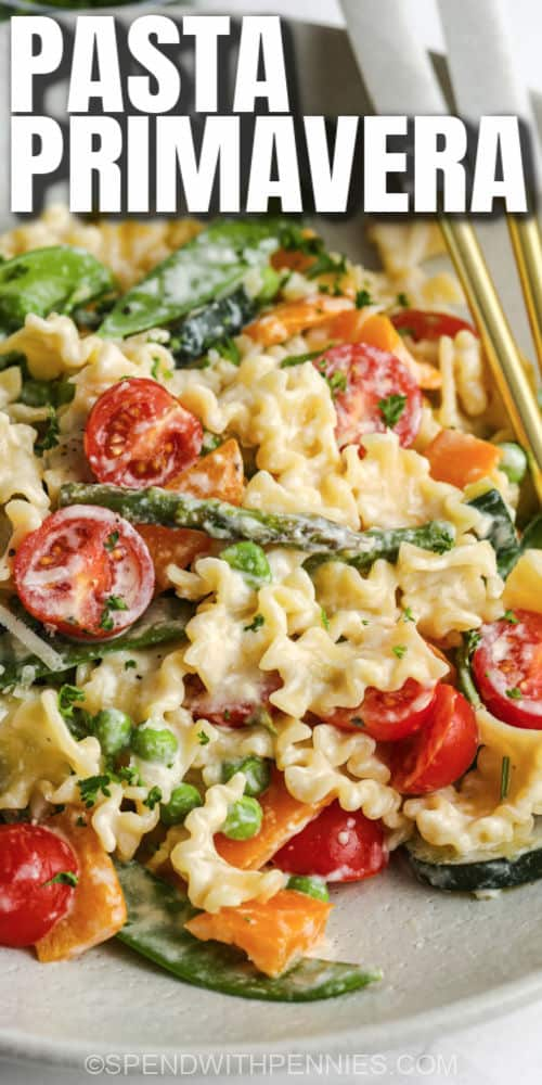 Creamy Pasta Primavera