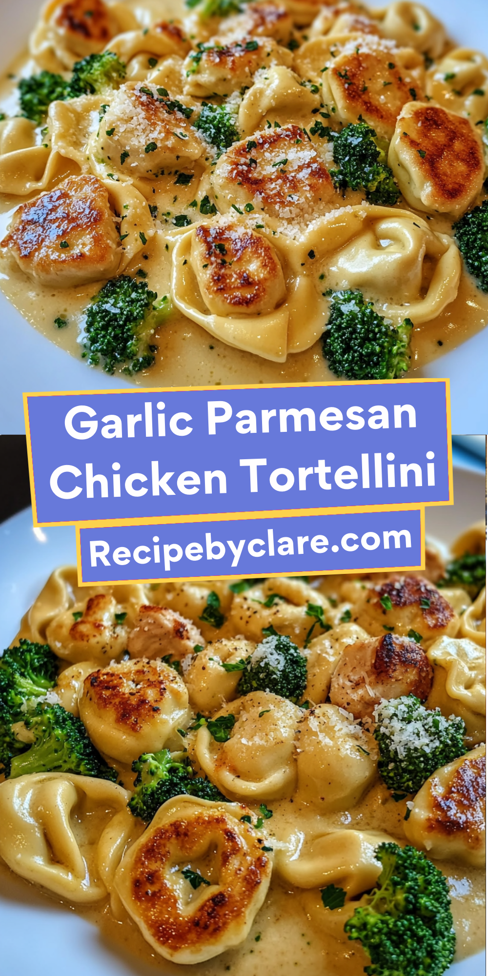 Creamy Garlic Parmesan Tortellini with Chicken & Broccoli